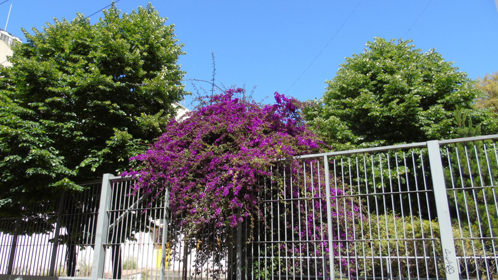 Plaza de la Defensa