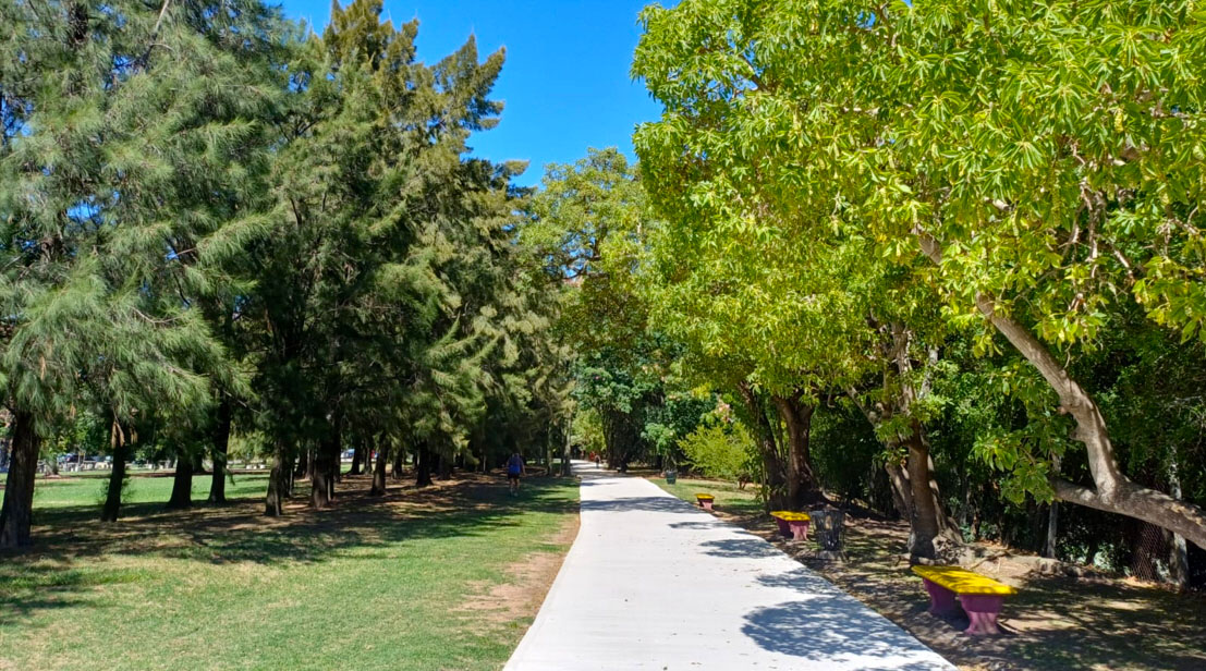 Imagen de galería 1