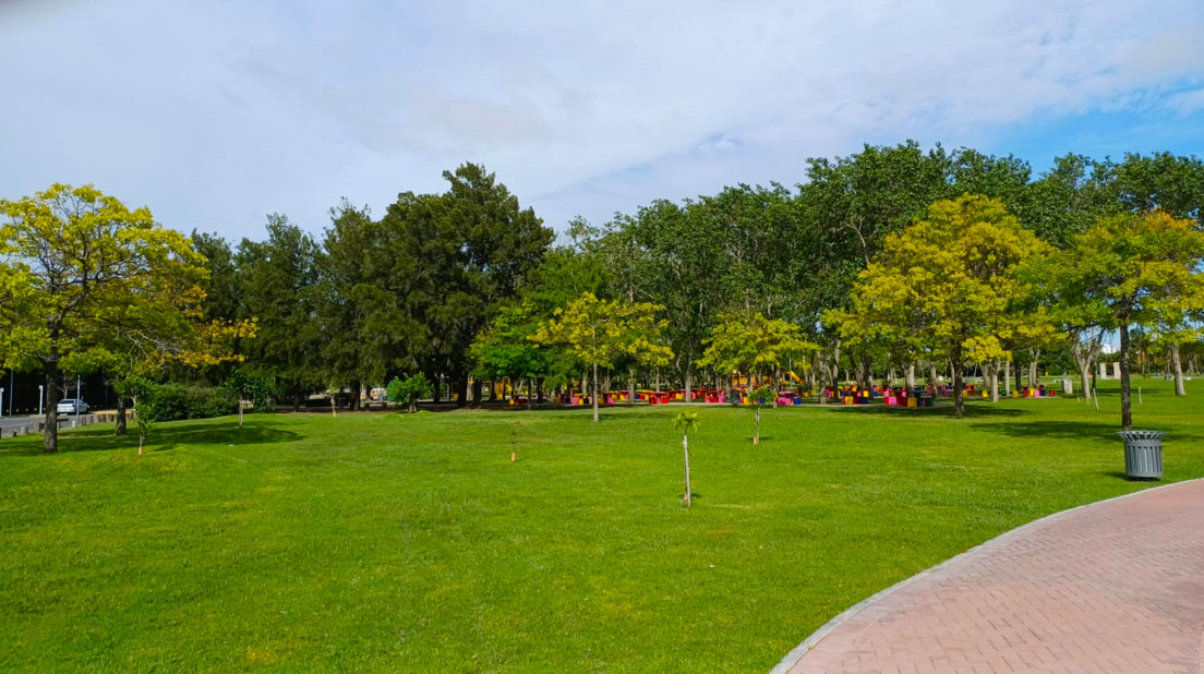 Imagen de galería 1