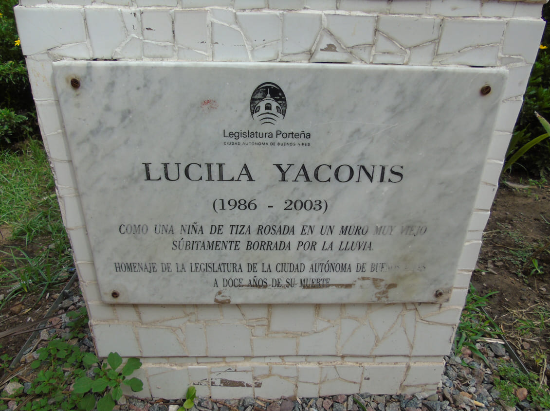 Yaconis