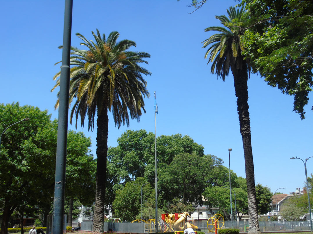 Vistas de la plaza