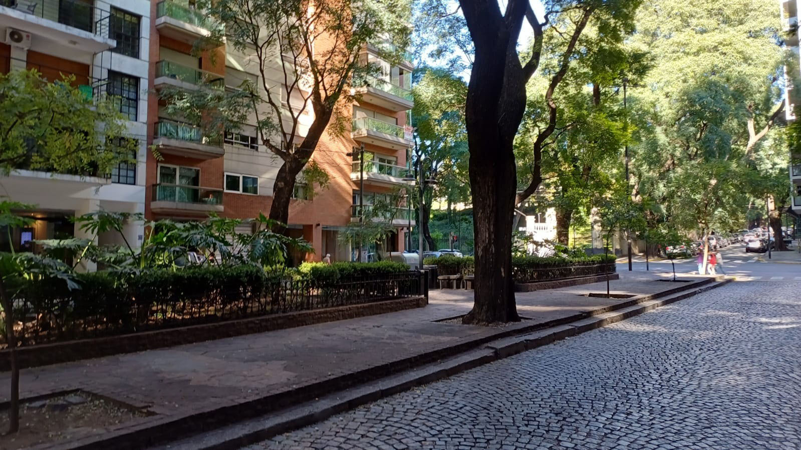 Cantero Central Ciudad de Pigüé