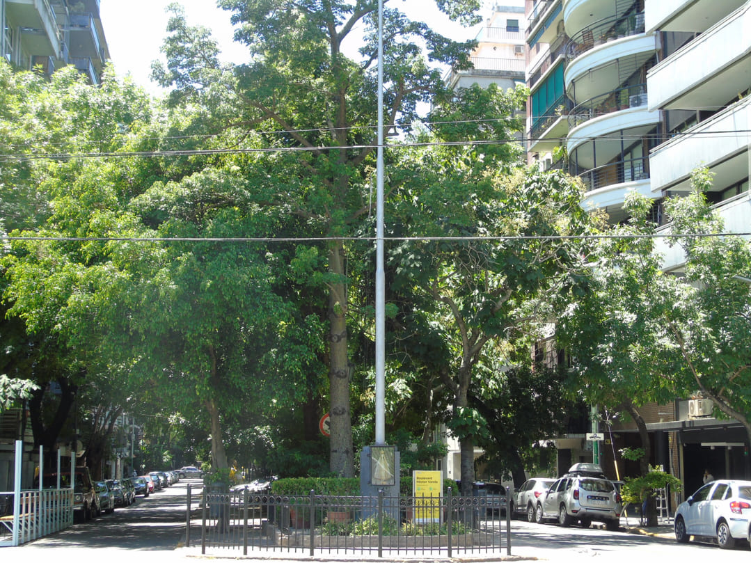 Homenaje a la Bandera