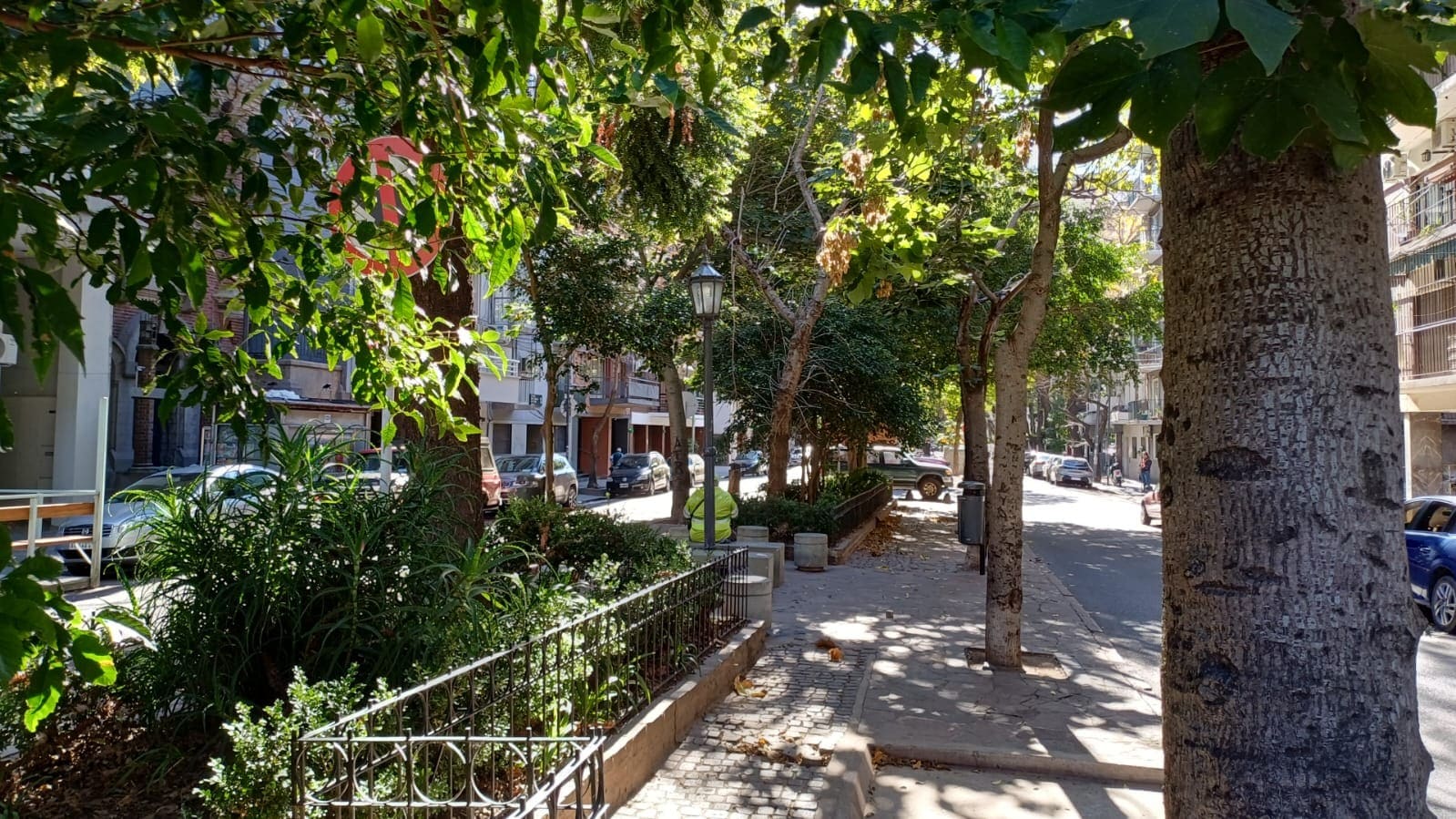Imagen de galería 1