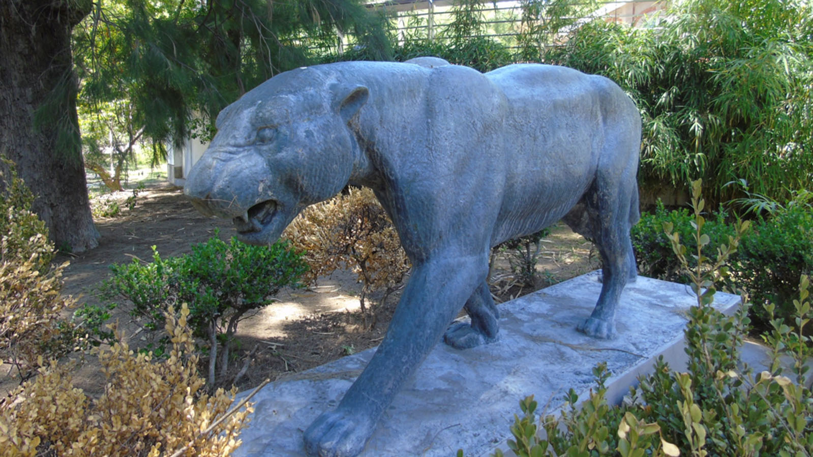 Ecoparque BA