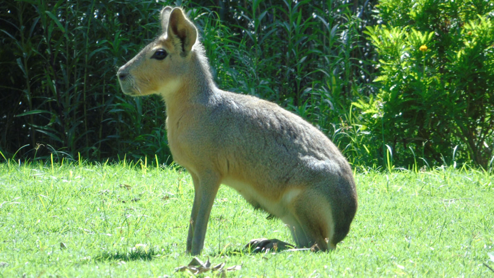 Ecoparque