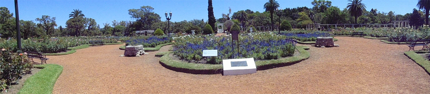 Parque 3 de Febrero - El Rosedal