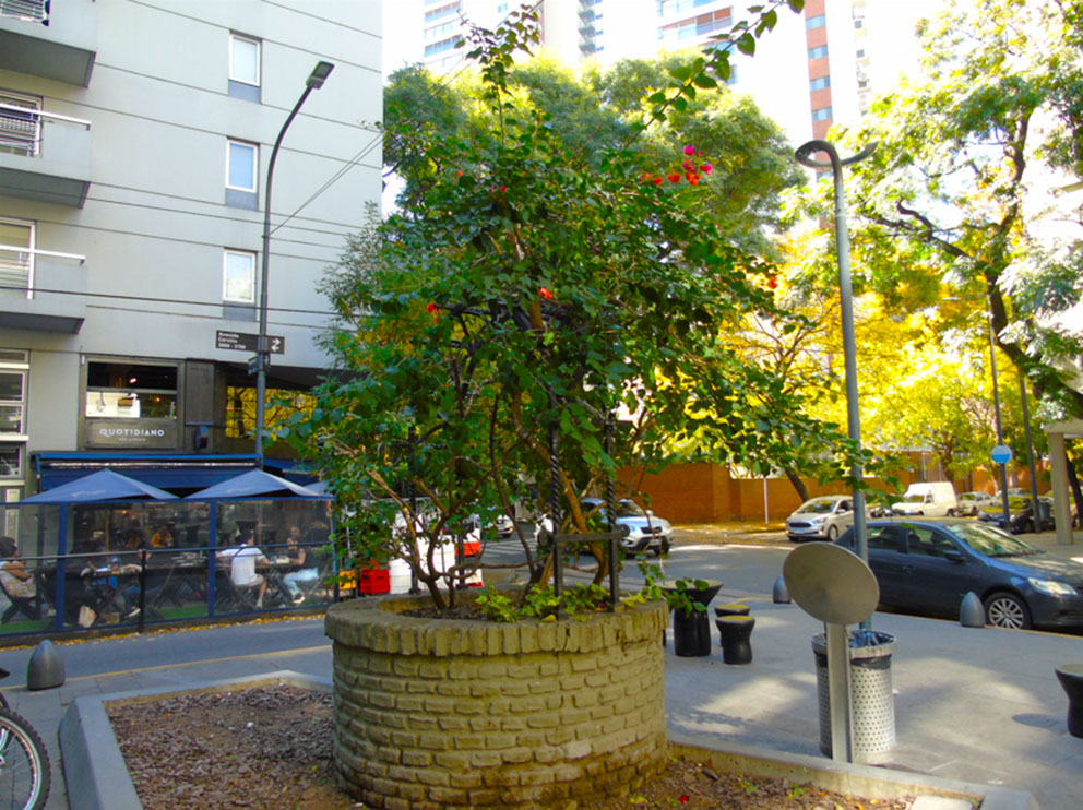 C.C. Dr. Roberto Noble