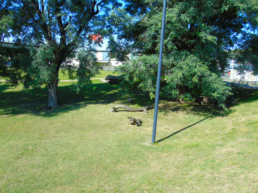 Dr. Enrique M. Francini