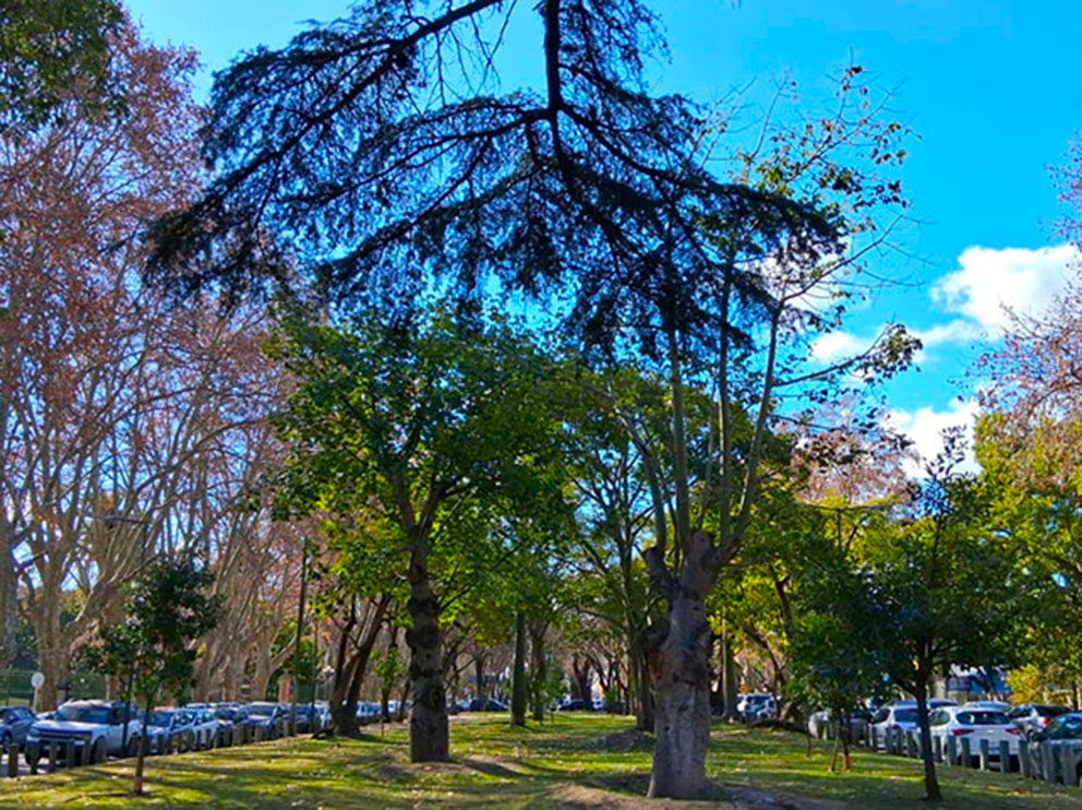 Patio de las Esculturas (MOA)