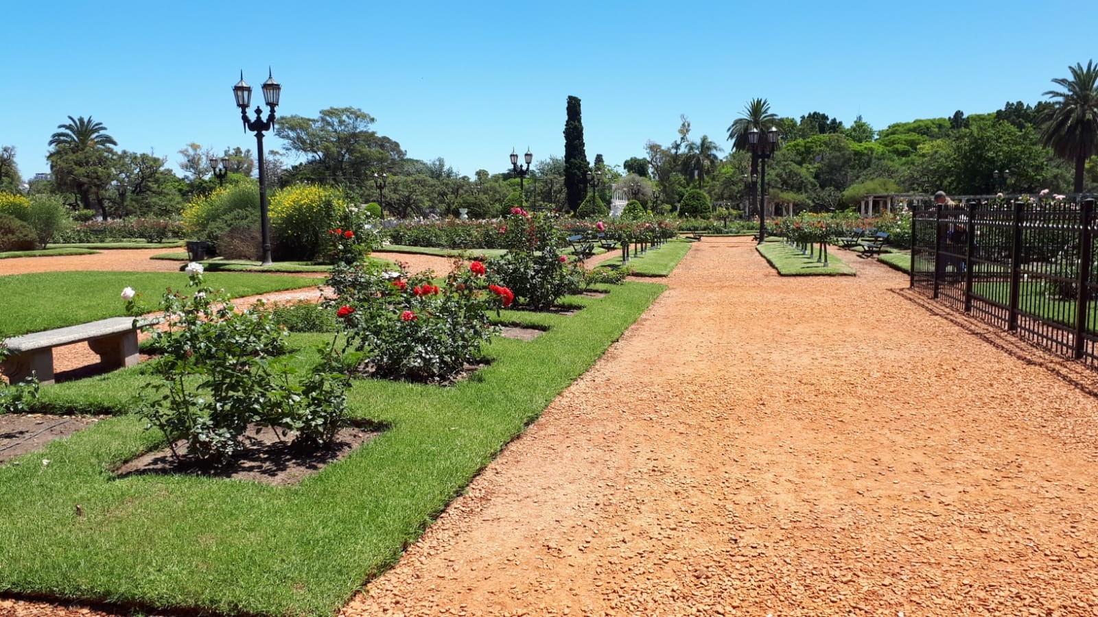 Rosedal