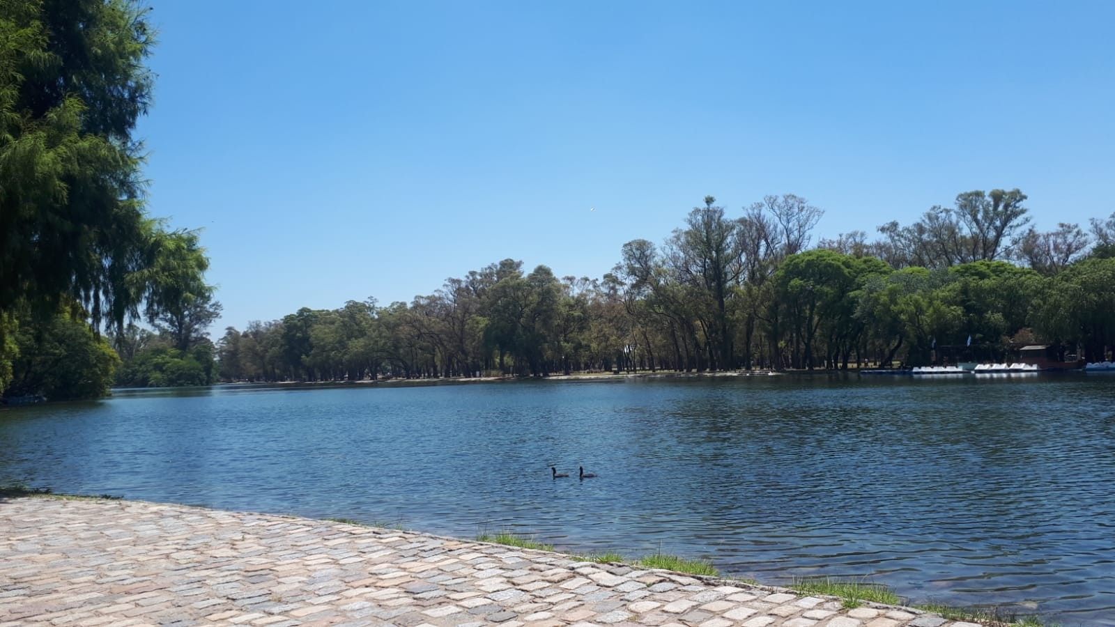 Lago de Regatas