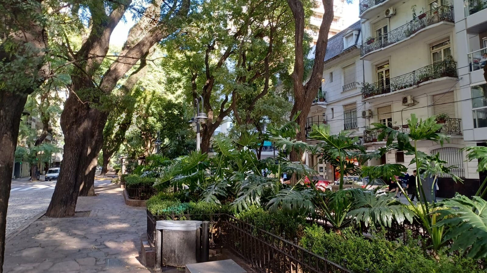 Cantero Central Dr. Emir Eduardo Mercader