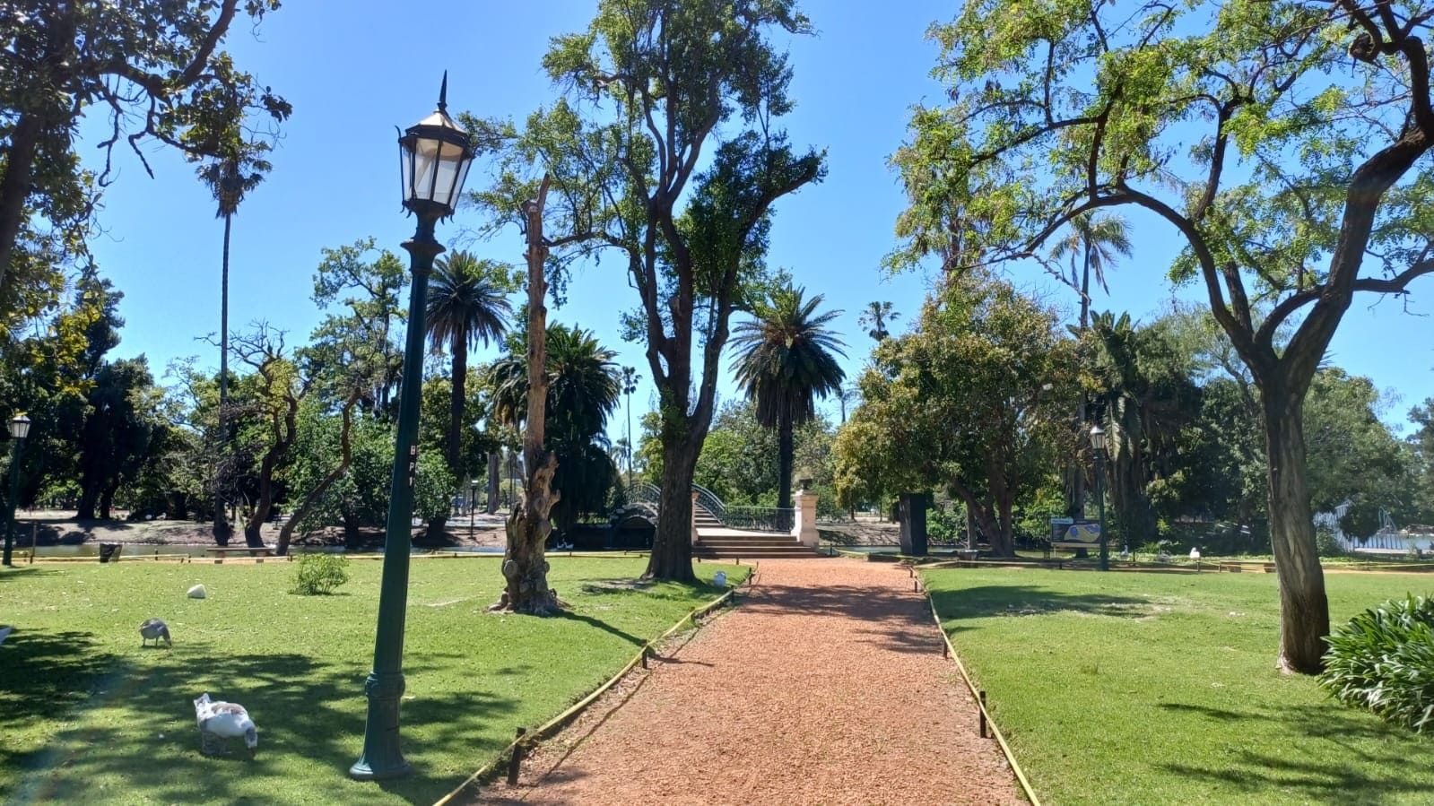 Imagen de galería 1