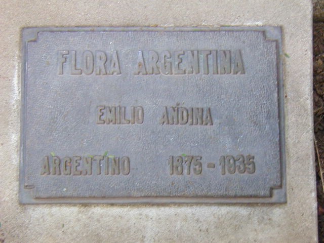 Flora indígena