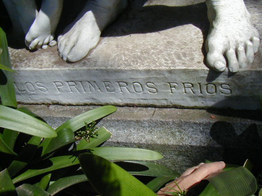 Los Primeros Fríos