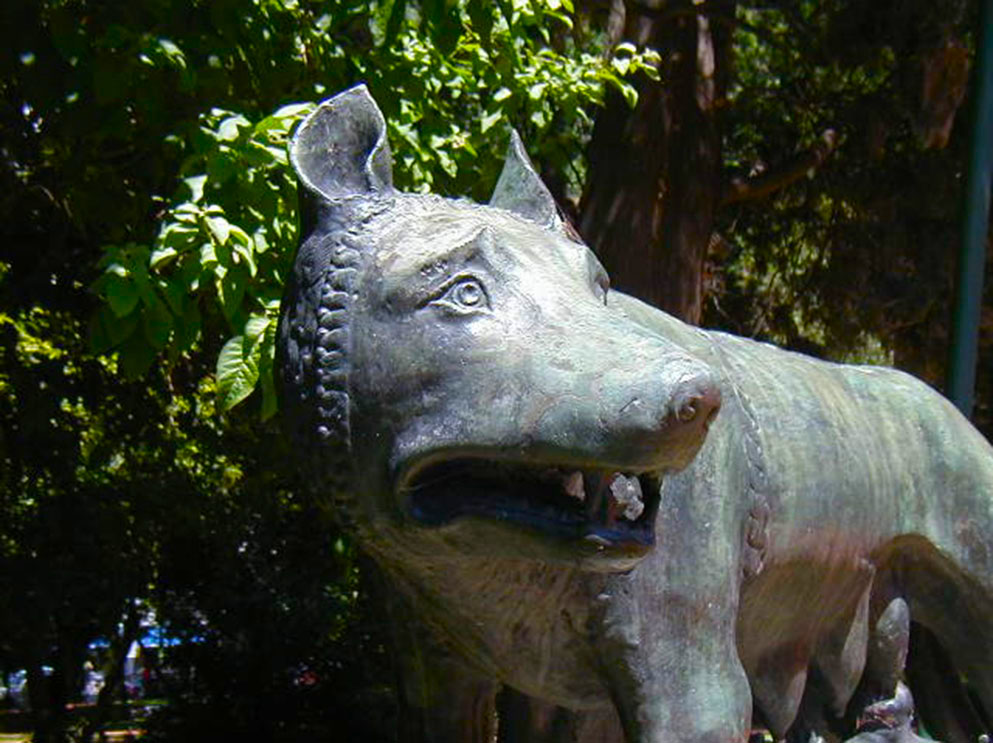 Loba Romana