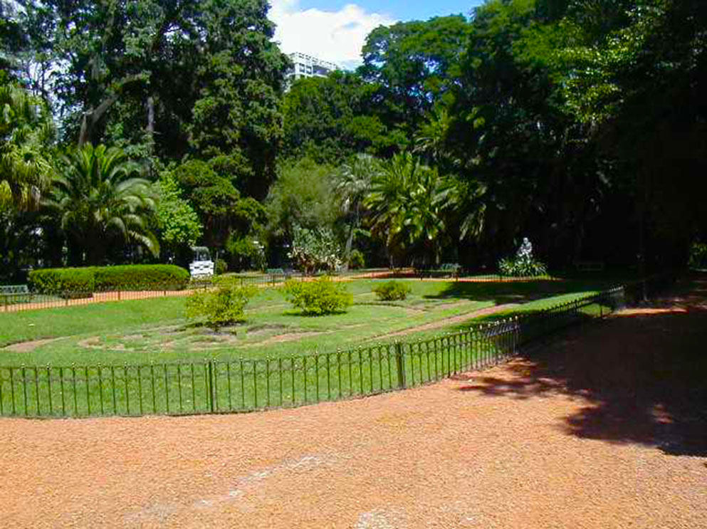 Loba Romana