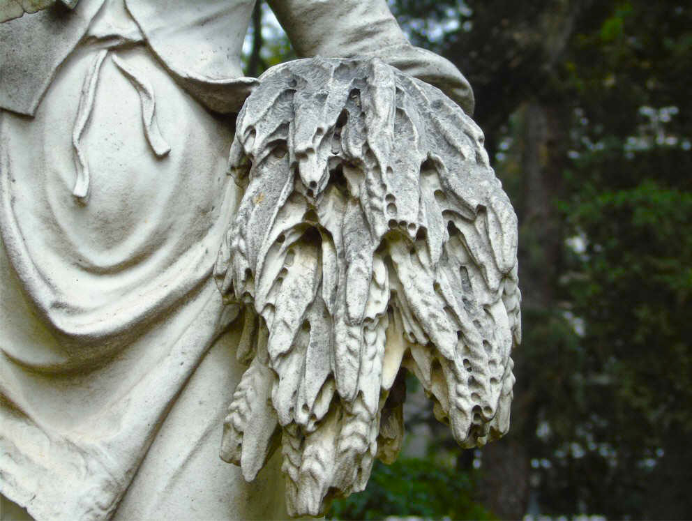 Canto de la Cosechadora