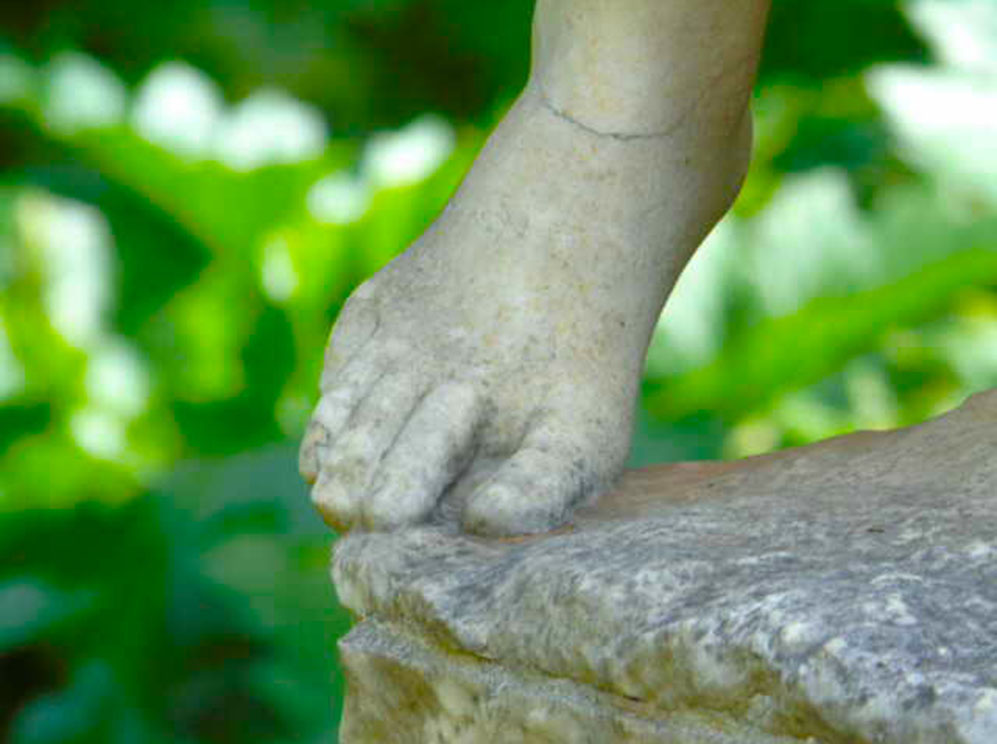 Canto de la Cosechadora