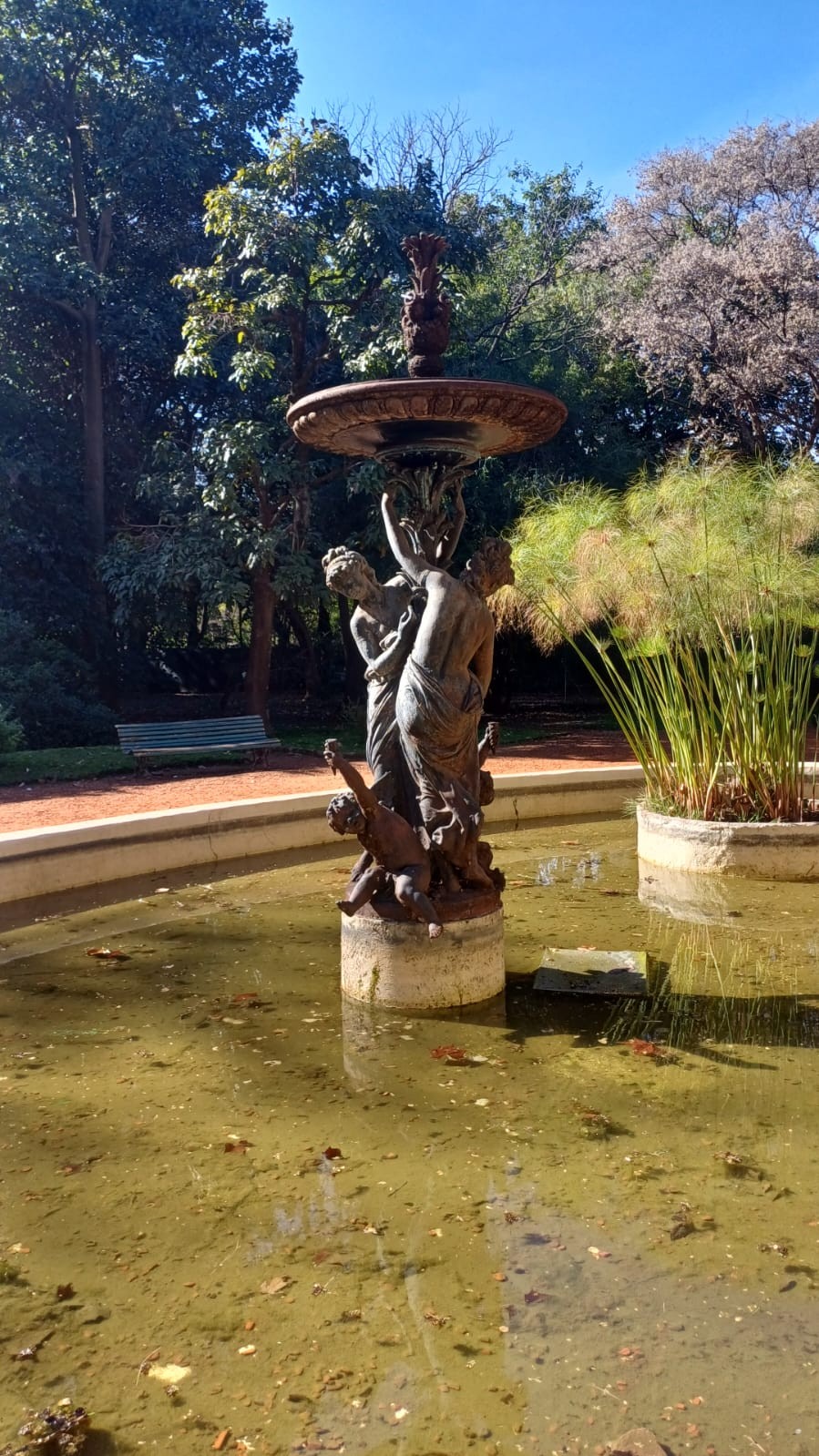 Centro de fuente