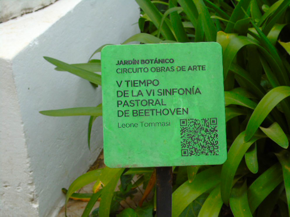 V TIEMPO DE LA VI