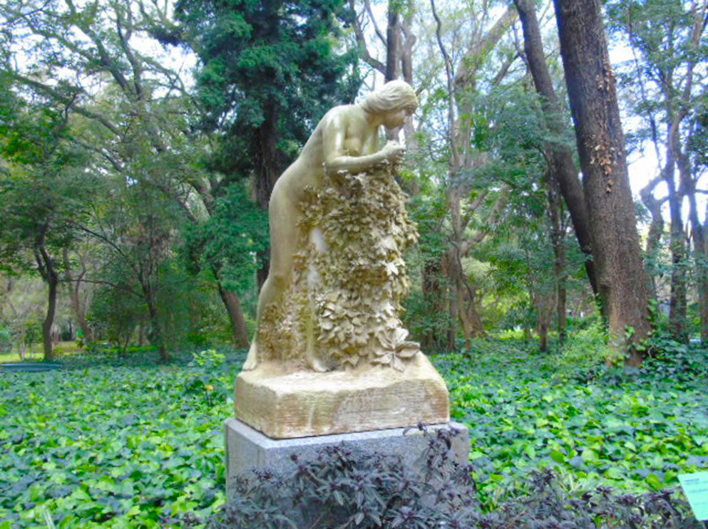 Flora indígena