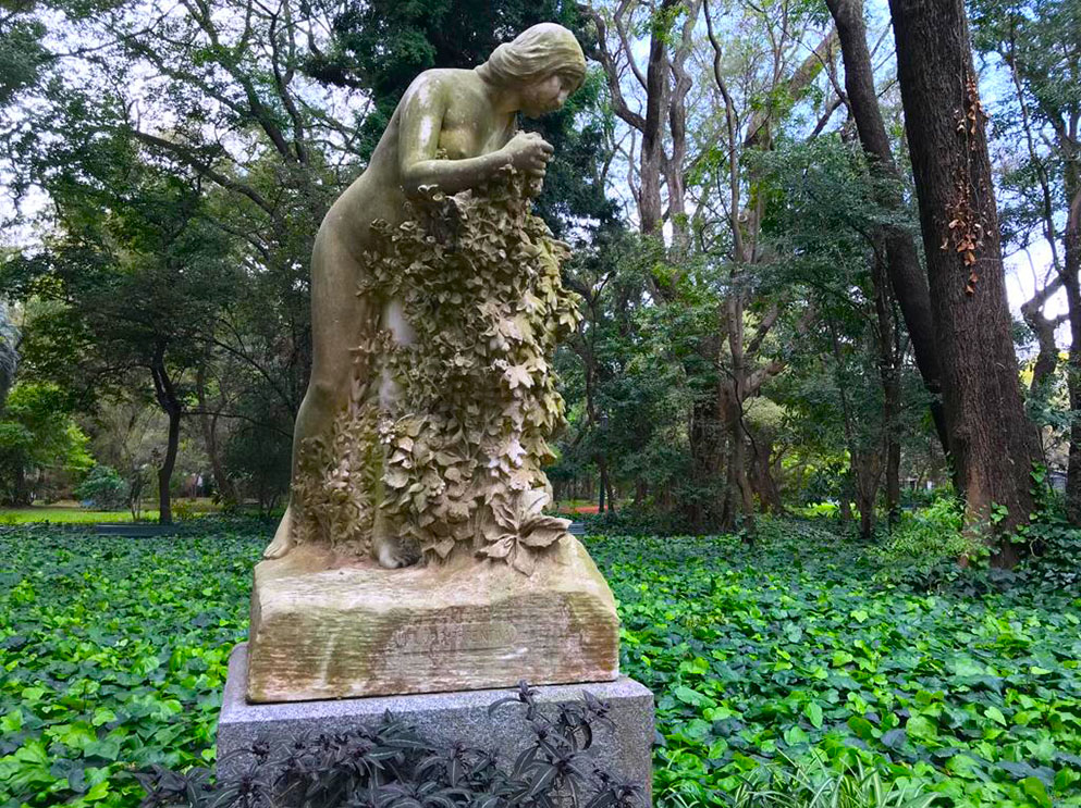 Flora indígena