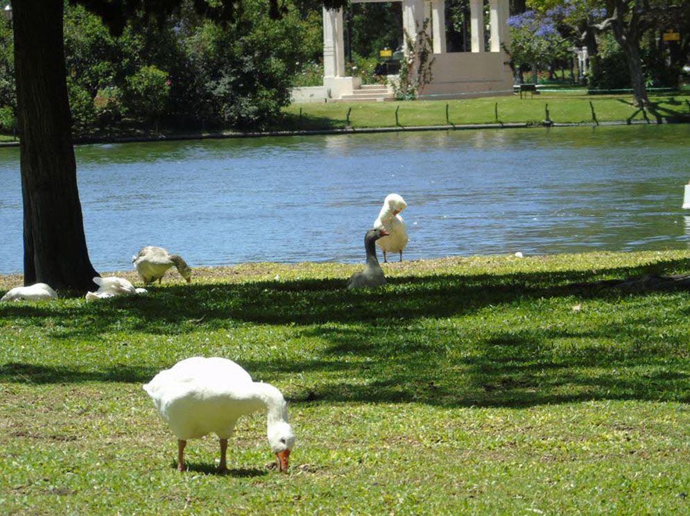 Parque 3 de Febrero