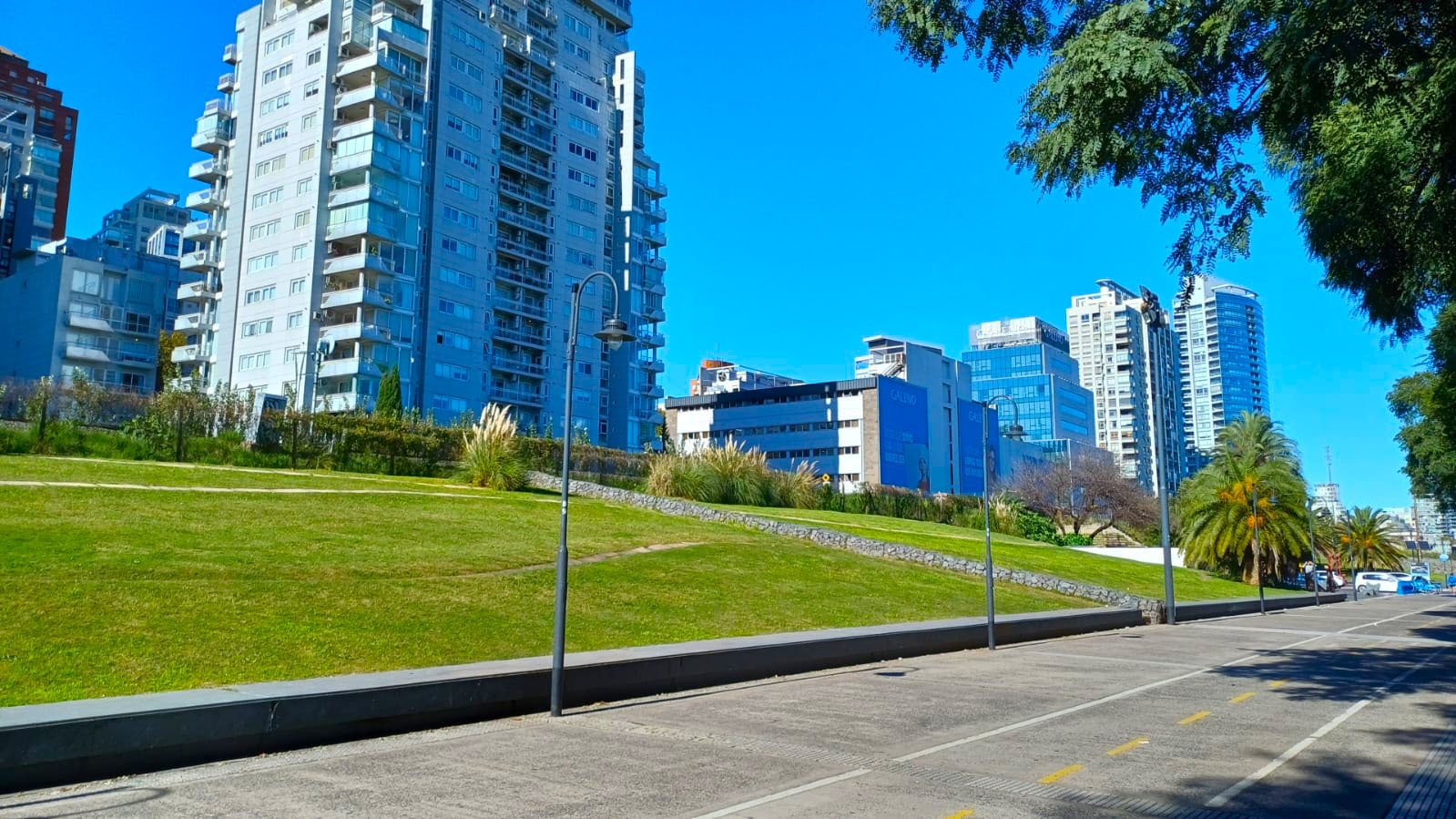 Imagen de galería 1