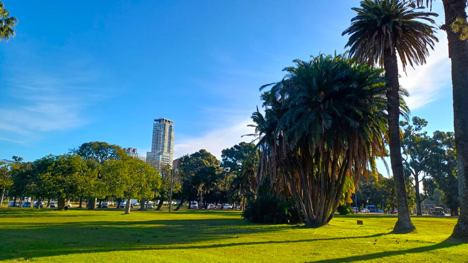 Imagen de galería 1