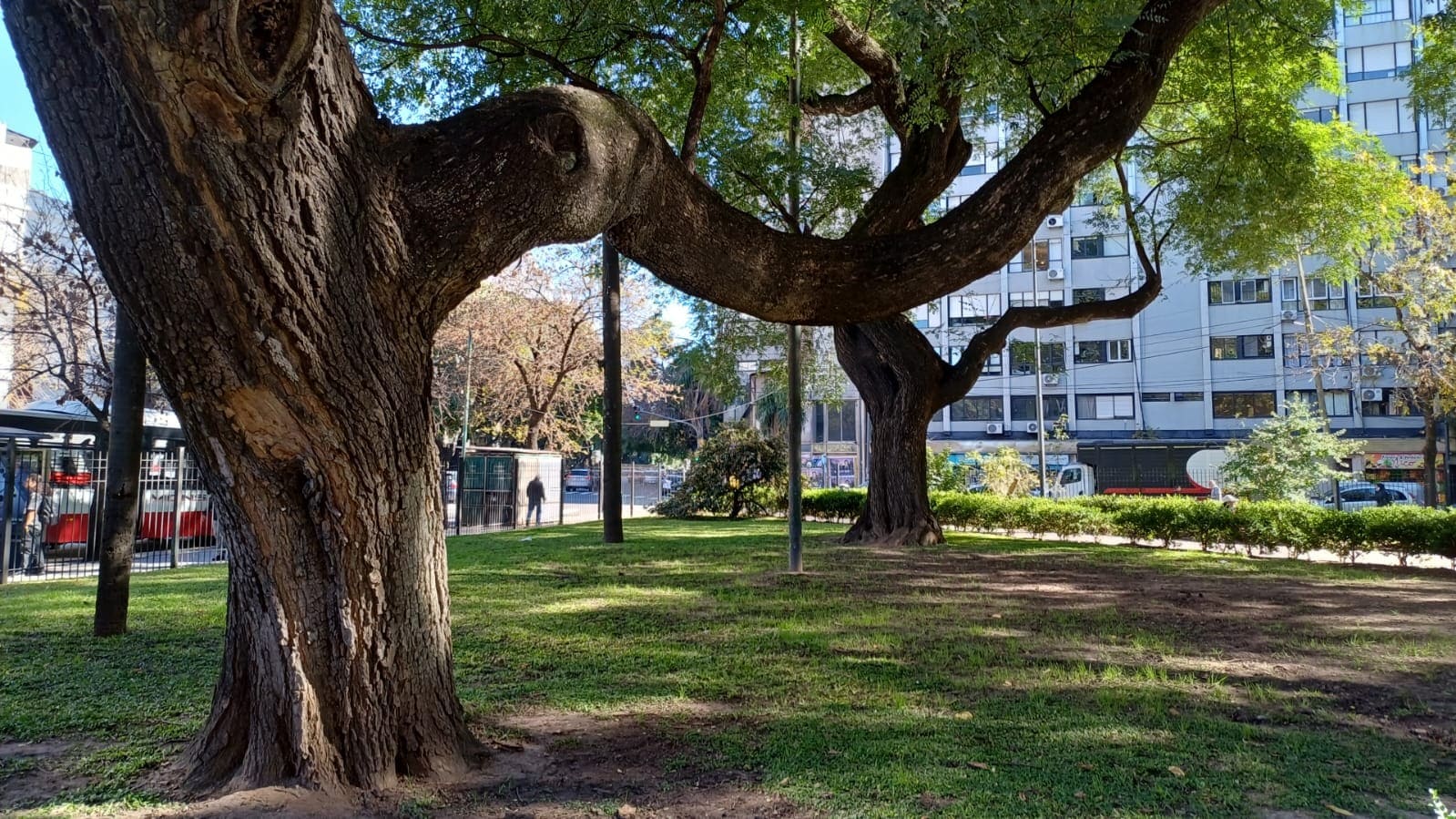 Plaza Alférez José María Sobral 