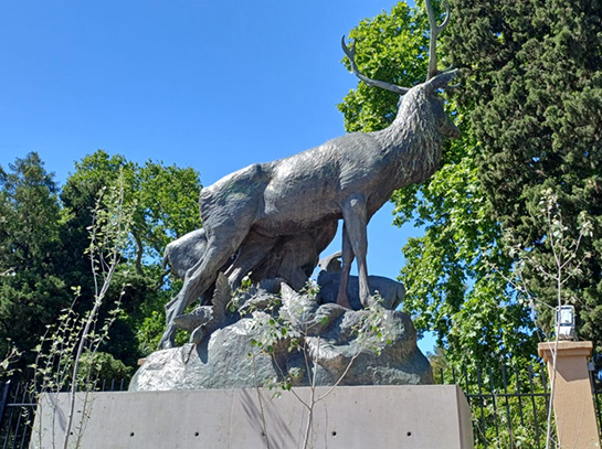 Familia de Ciervos en el MOA