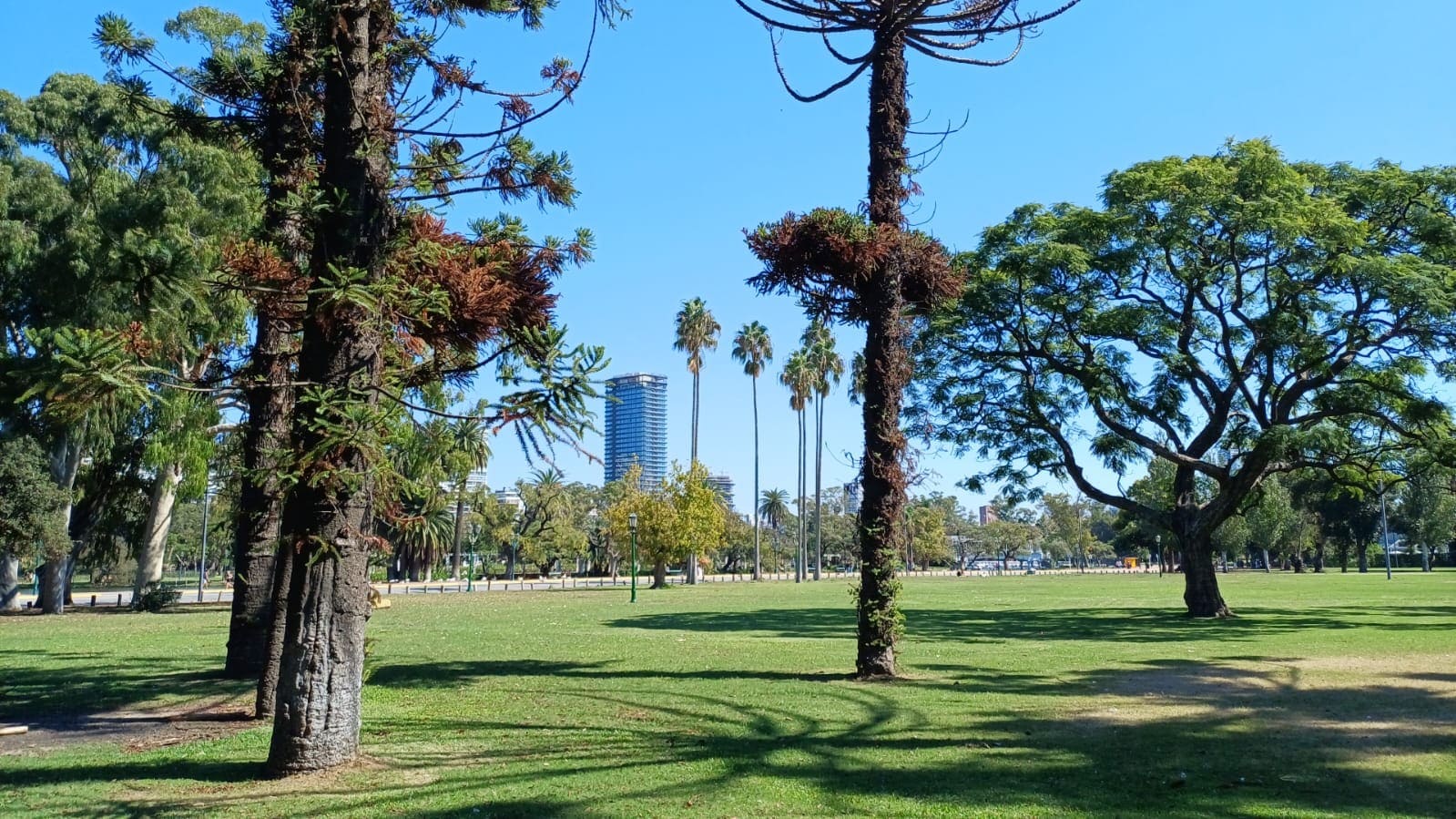 Imagen de galería 1