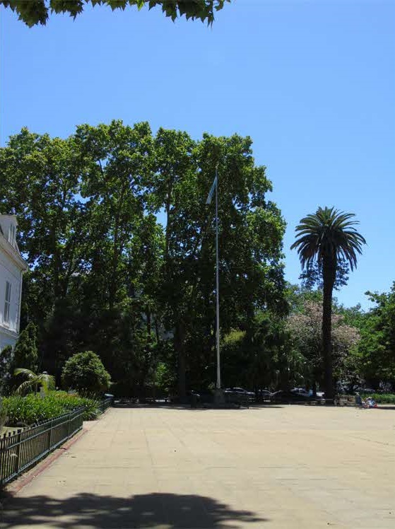 Homenaje a la Bandera