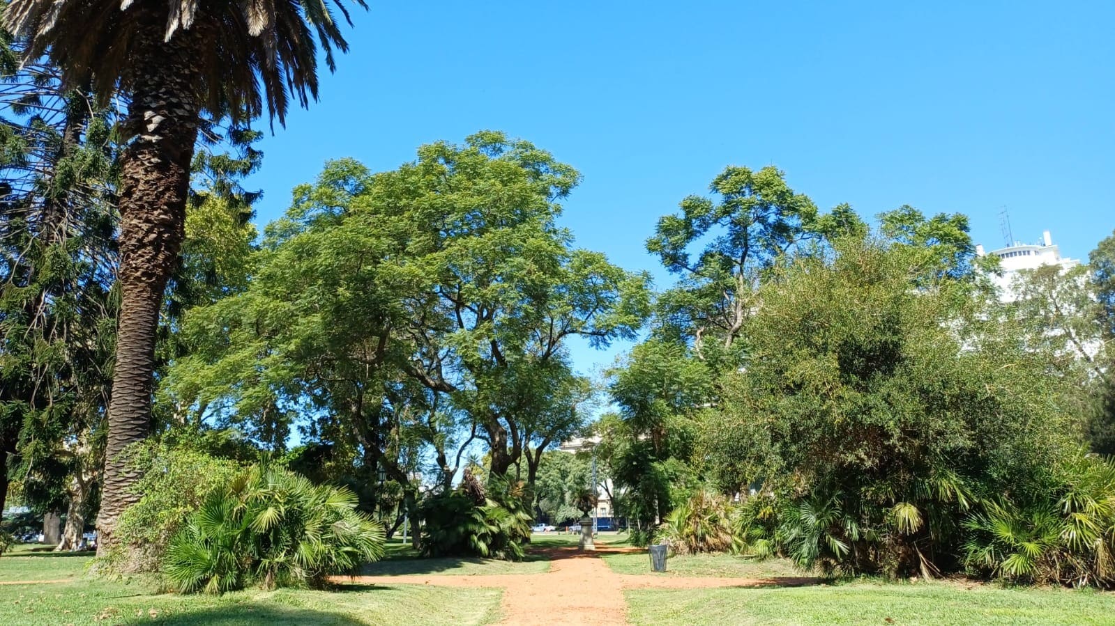Imagen de galería 1