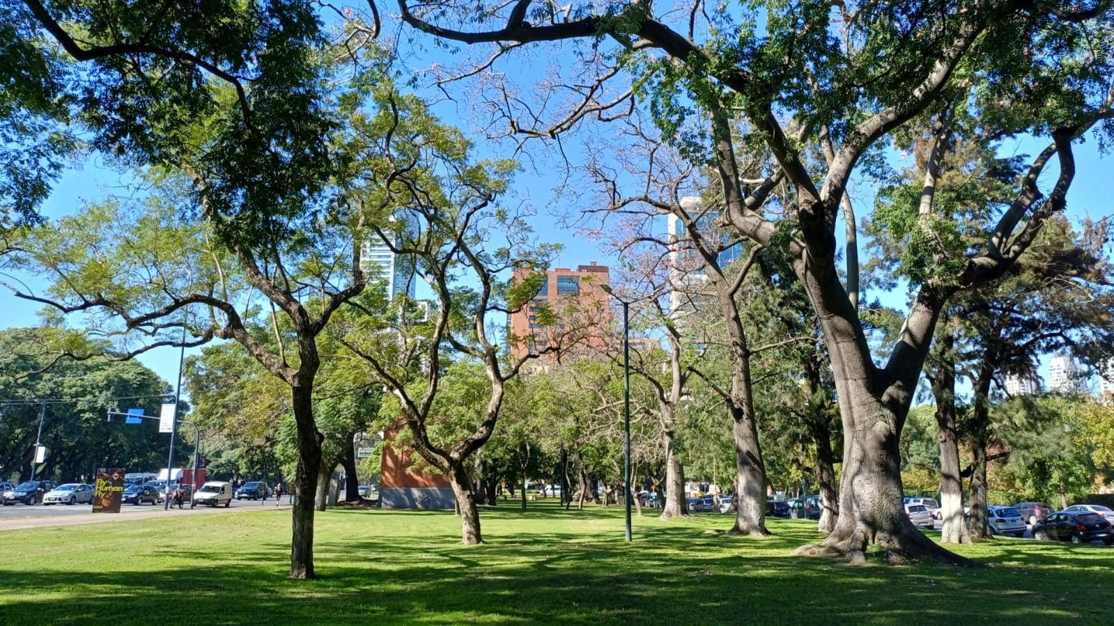 Imagen de galería 1