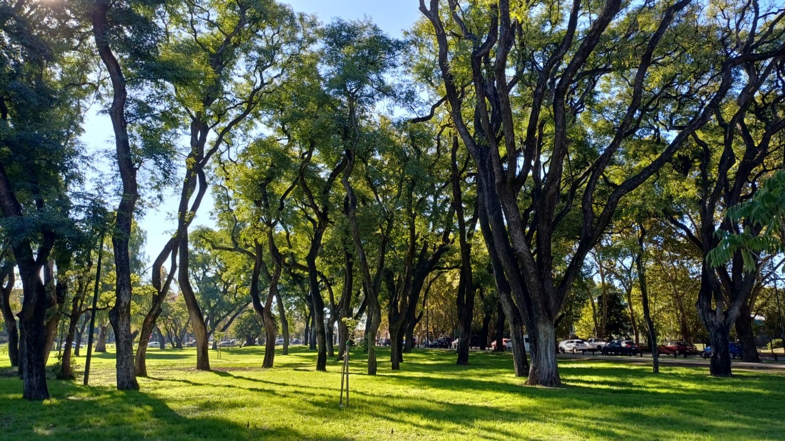 Imagen de galería 1