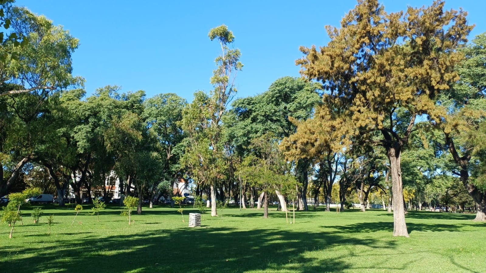 Imagen de galería 1