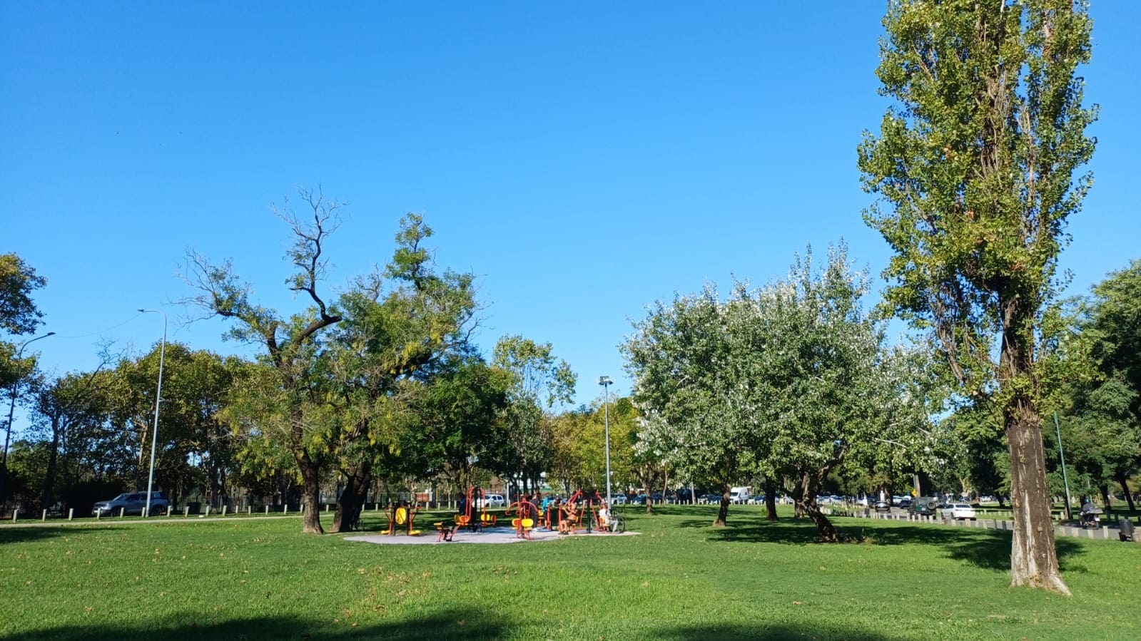 Imagen de galería 1