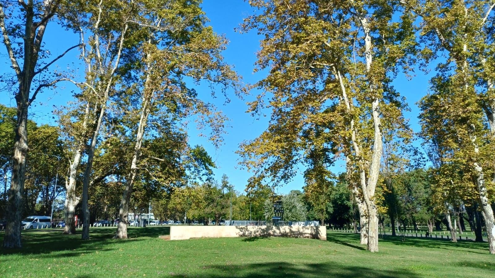 Imagen de galería 1