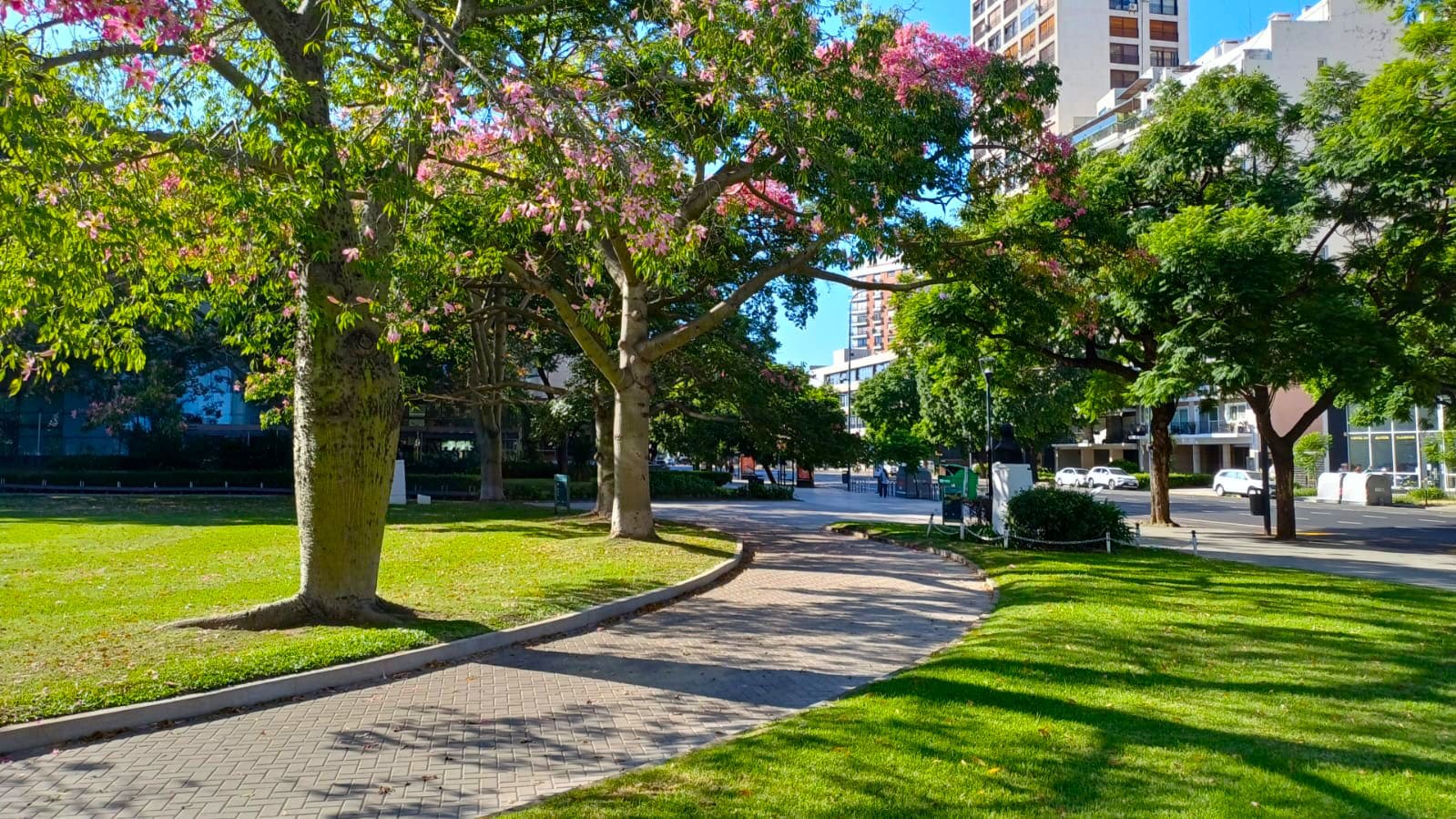 Imagen de galería 1