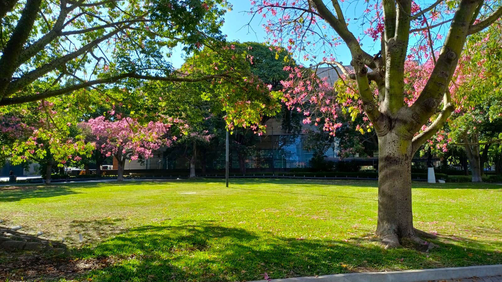 Imagen de galería 1