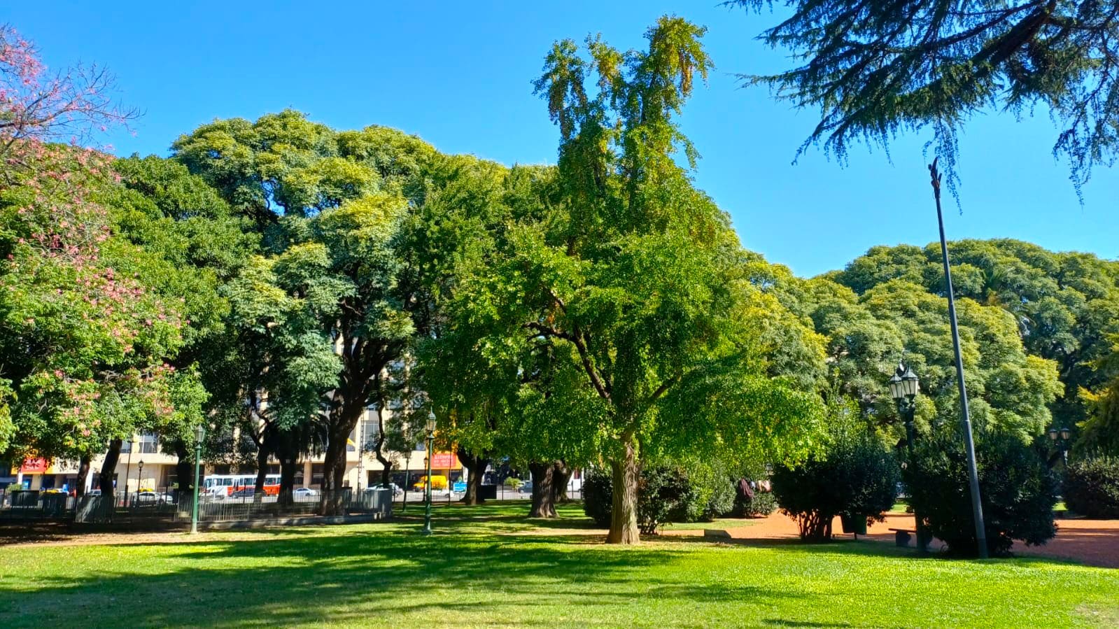 Imagen de galería 1