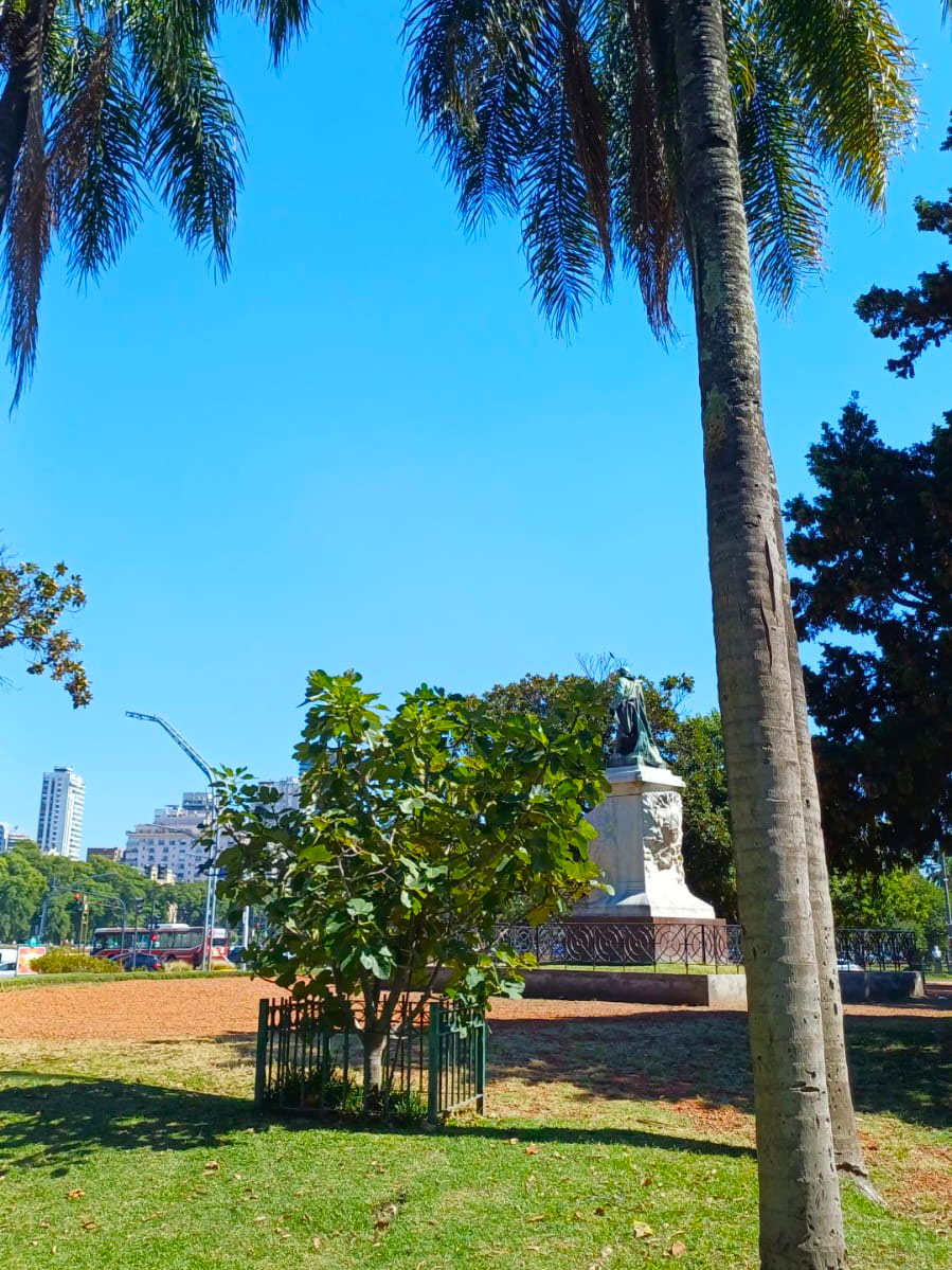 Higuera de Sarmiento - Foto 1