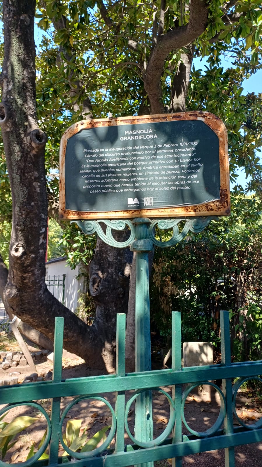 Magnolia de Avellaneda - Foto 2