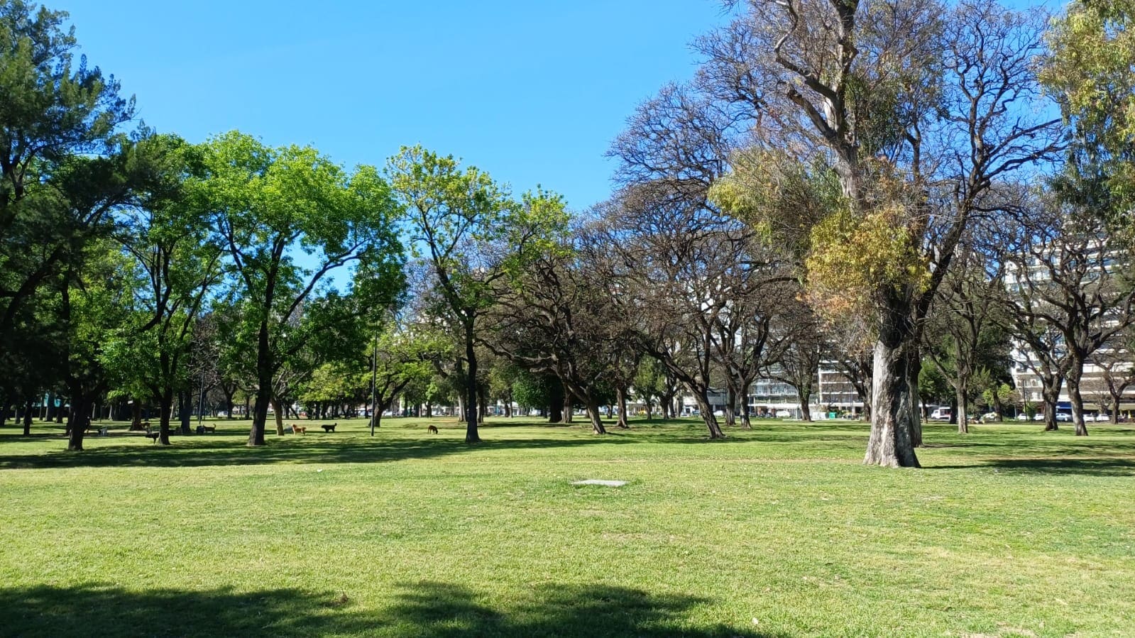 Imagen de galería 1