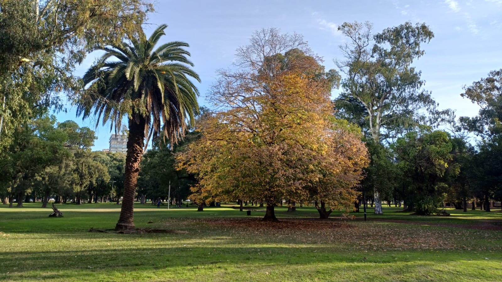 Plaza Sicilia