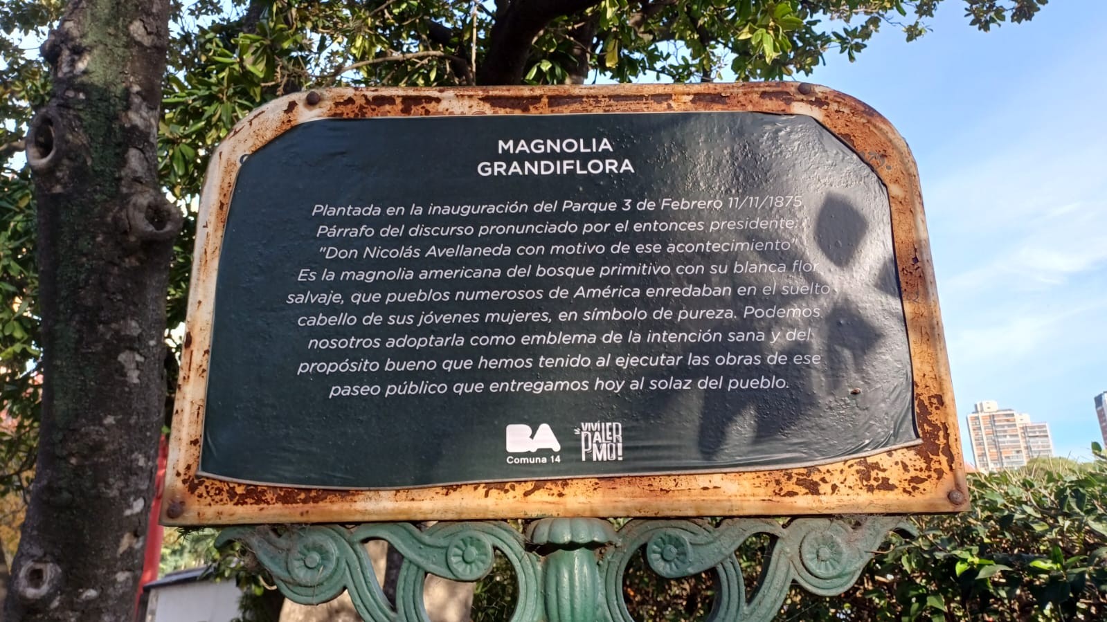 Placa