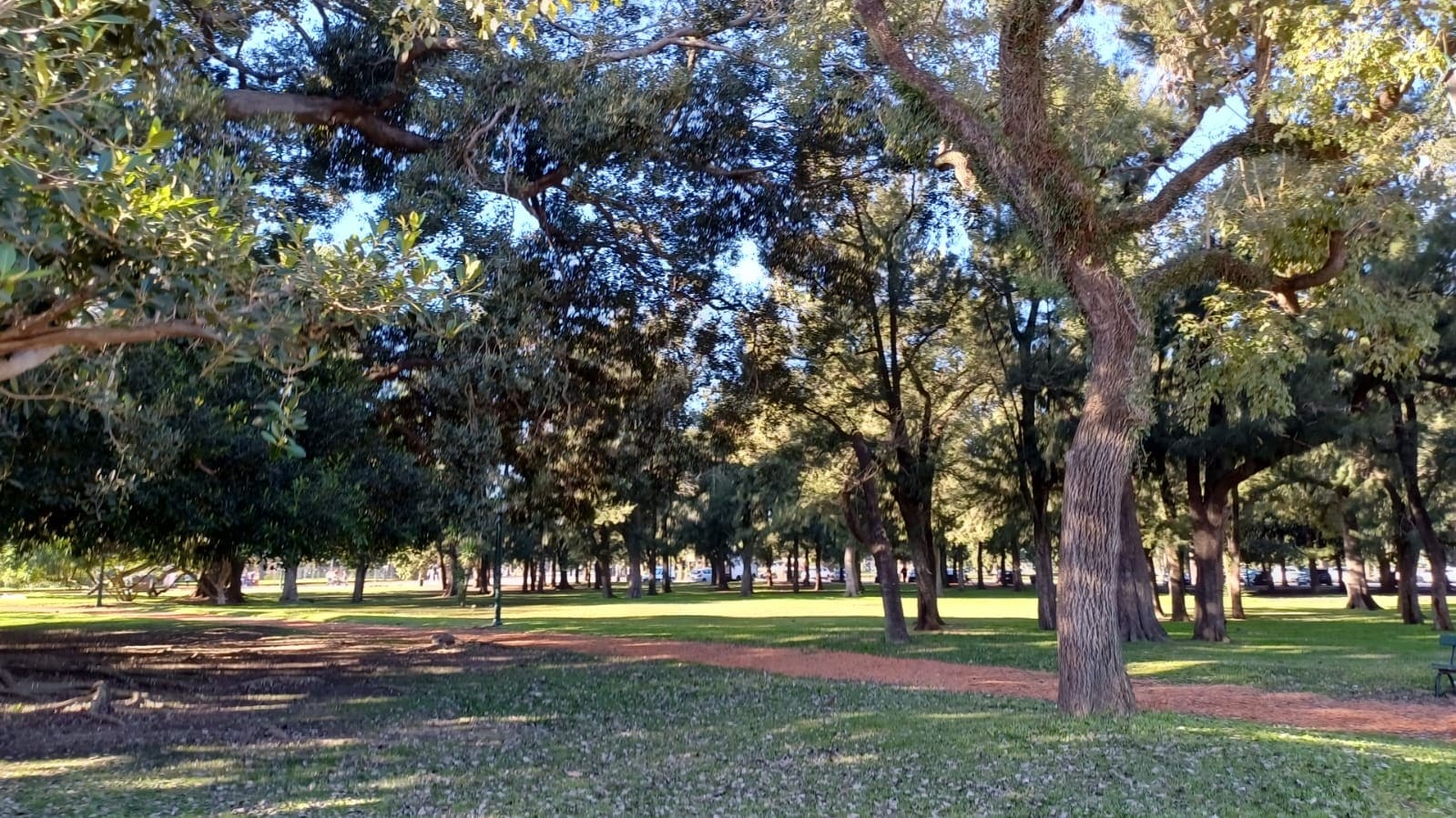 Imagen de galería 1